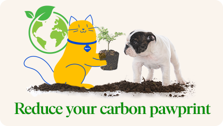 Reduce your carbon pawprint | Choose earth-friendly brands, sustainable items and natural pet products