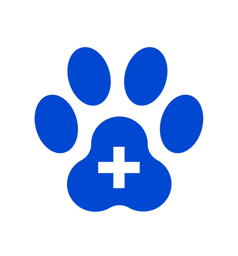 Icon of a paw print with a cross, representing pet care services.