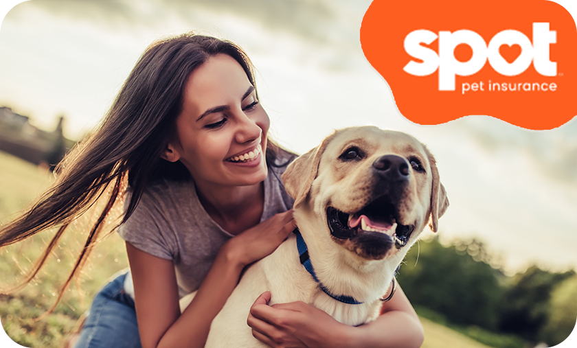Spot Pet Insurance