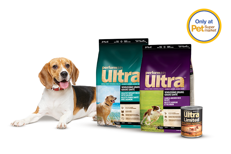 A beagle lying next to Performatrin Ultra dog food products with a "Only at Pet Supermarket" label.