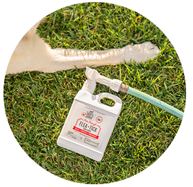 A Skout's Honor flea and tick product on the grass next to a dog's paw.