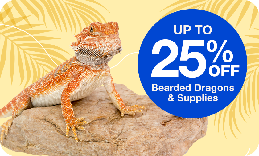 Up to 25% Off Bearded Dragons & Supplies