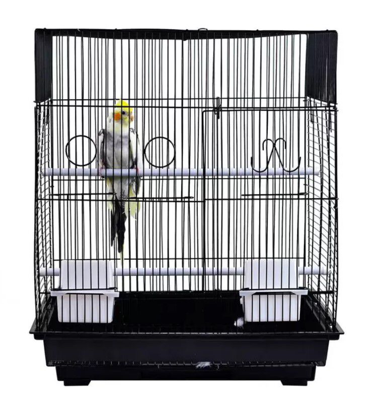 Pet supermarket birds cheap