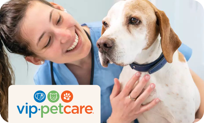 VIP Pet Care: Find your local clinic