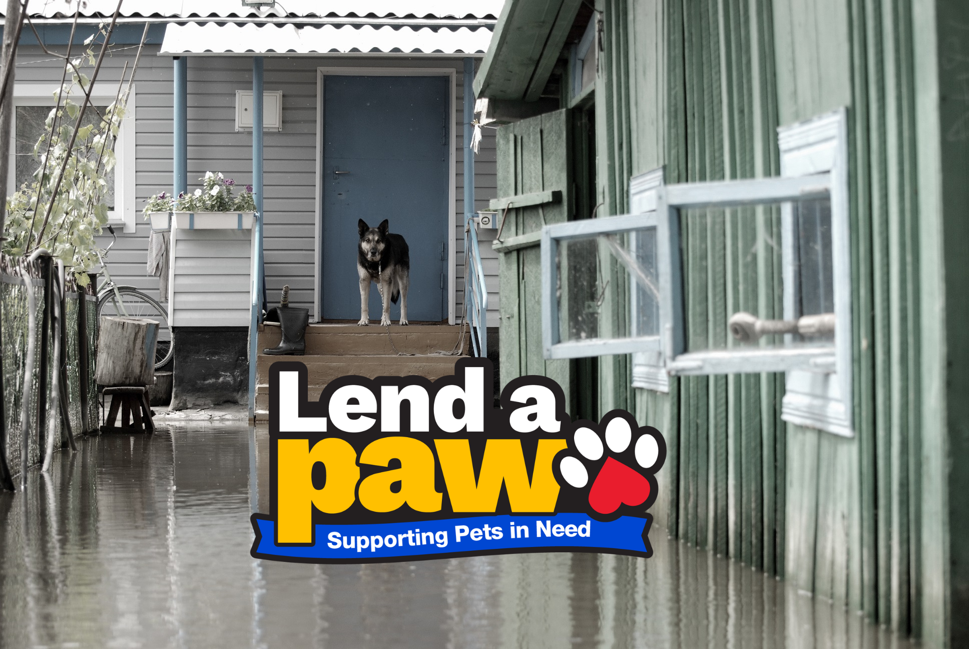 pet supermarket hours christmas eve