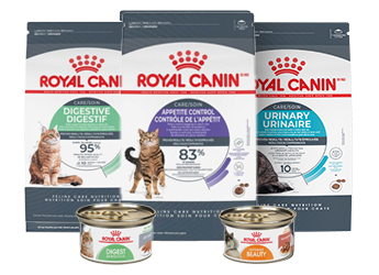 Royal canin dealers near me cheap