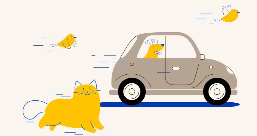 Pet Supermarket Peticon of a cat and a dog in a car with birds flying around, representing buy online, pickup in-store service