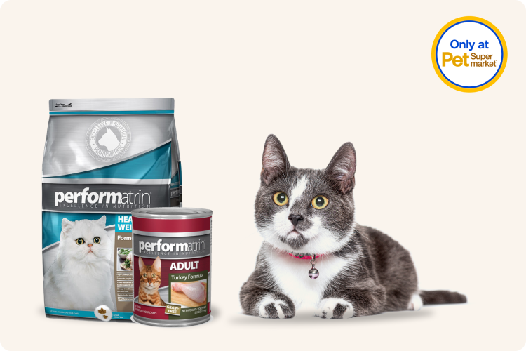 Performatrin excellence in nutrition on sale