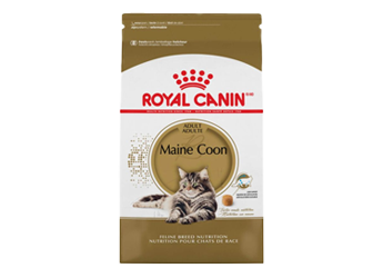 Pet supermarket royal canin sales