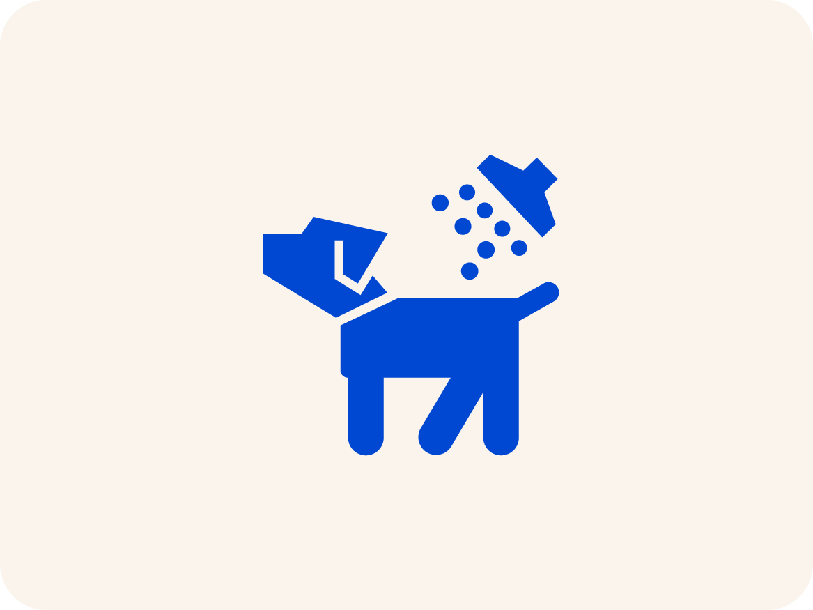 Self-Serve Dog Wash