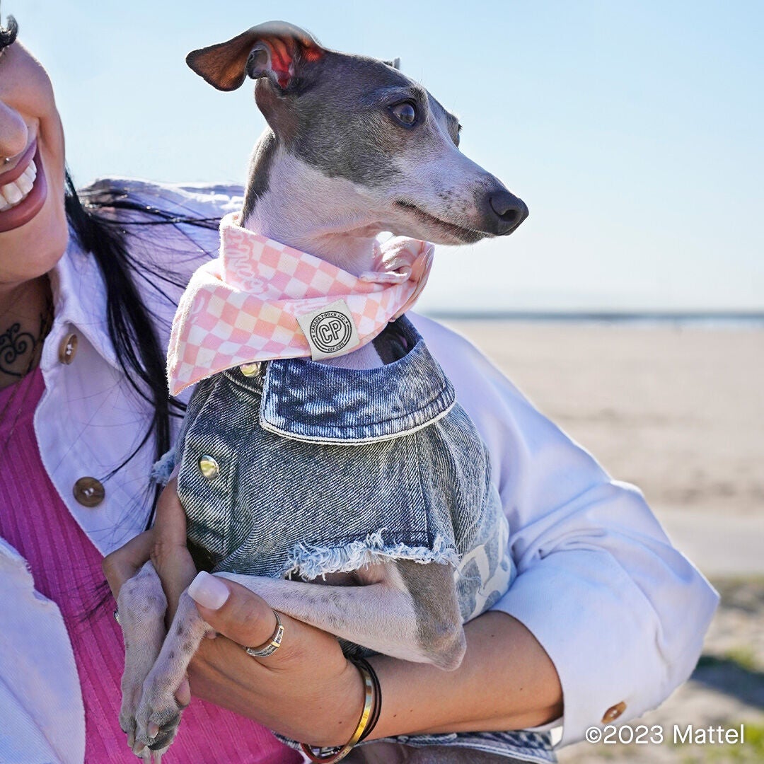 Barbie Dog Toys Pet Supermarket Pet Supermarket barbie-dog-toys-pet-supermarket-pet-supermarket