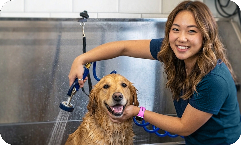 Self-Serve Dog Wash: A person washing a dog