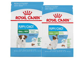 Petsmart performatrin cheap