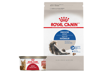 Pet supermarket royal canin shop