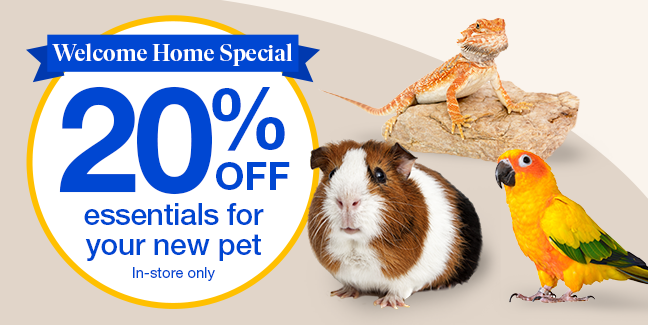 Welcome Home Special: 20% Off essentials for you new pet, In-store only