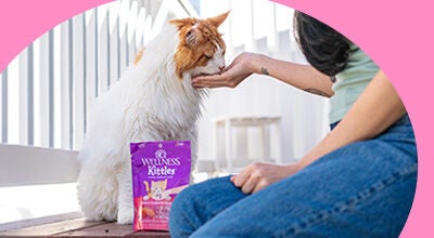 Treat Wellness Kittles with white and orange cat eating from hand