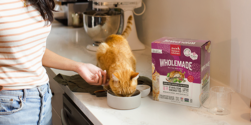Image of three Open Farm bags of dry cat food on a white marble countertop with a white bowl filled with kibble
