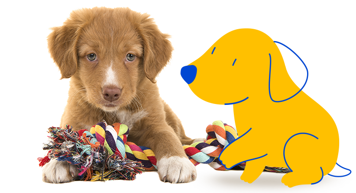 Puppy shopping deals