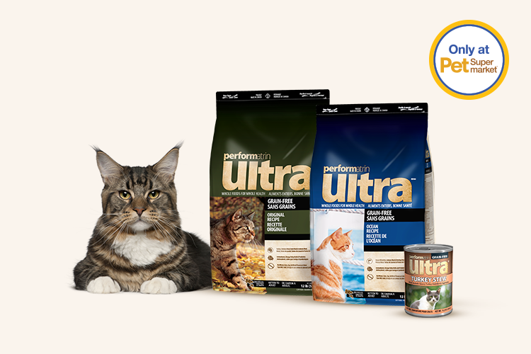 Performatrin ultra cat food reviews 2018 discount