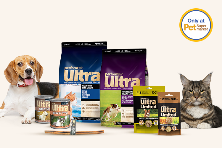 Performatrin online ultra kitten
