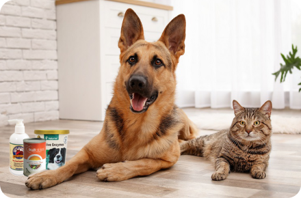 A German Shepherd and a tabby cat sitting on a wooden floor with pet food cans in the background.