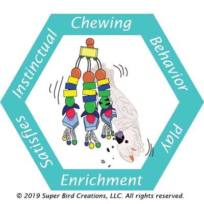 Chewing