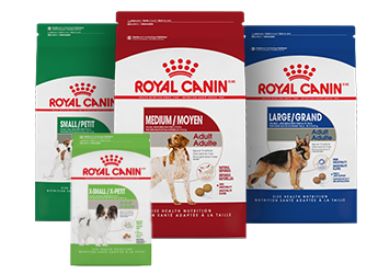 Royal Canin dog-size food