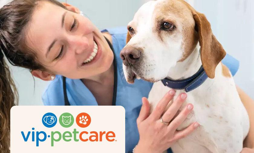 VIP Pet Care: Find your local clinic