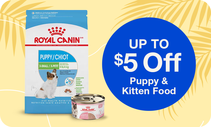 Royal Canin | Up to $5 Off Puppy & Kitten Food