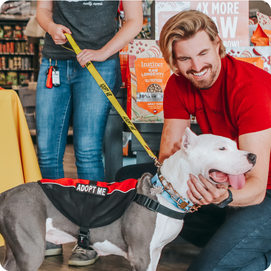 Adoption Pet Supermarket Pet Supermarket