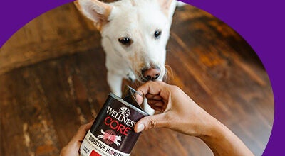 Wet dog food can of Wellness core and white dog