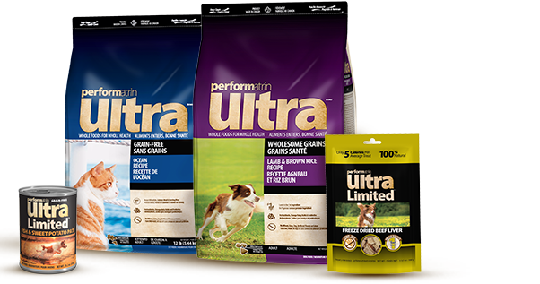 Pet valu fromm online