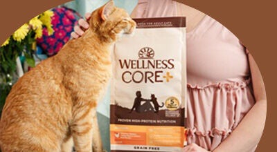 dry cat food Wellness core+ bag and orange cat with bowl