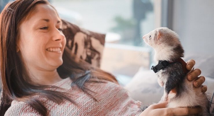 A women on a couch smiling and holding her white and black ferret.