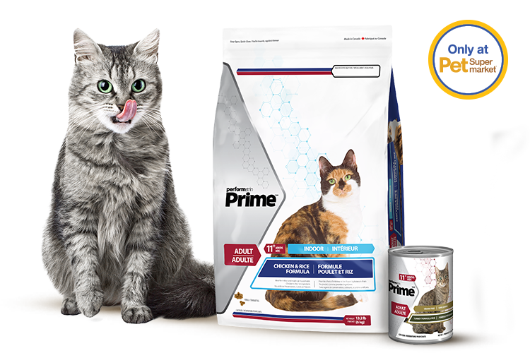 Grey cat with Performatrin Prime cat food with the text "Only at Pet Supermarket" and "New Brand & Look, Same Great Formula." The old packaging is on the left and the new packaging is on the right, both displaying an image of a cat.
