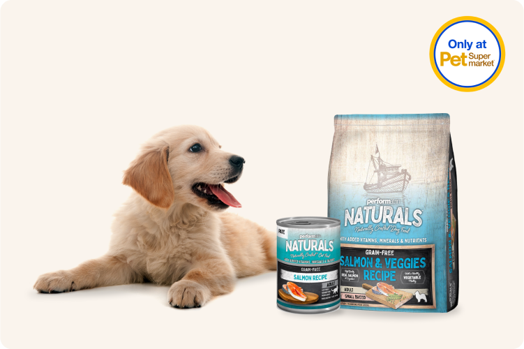 Performatrin small breed dog food cheap review