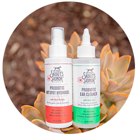 Skout's Honor health and wellness products displayed among plants.