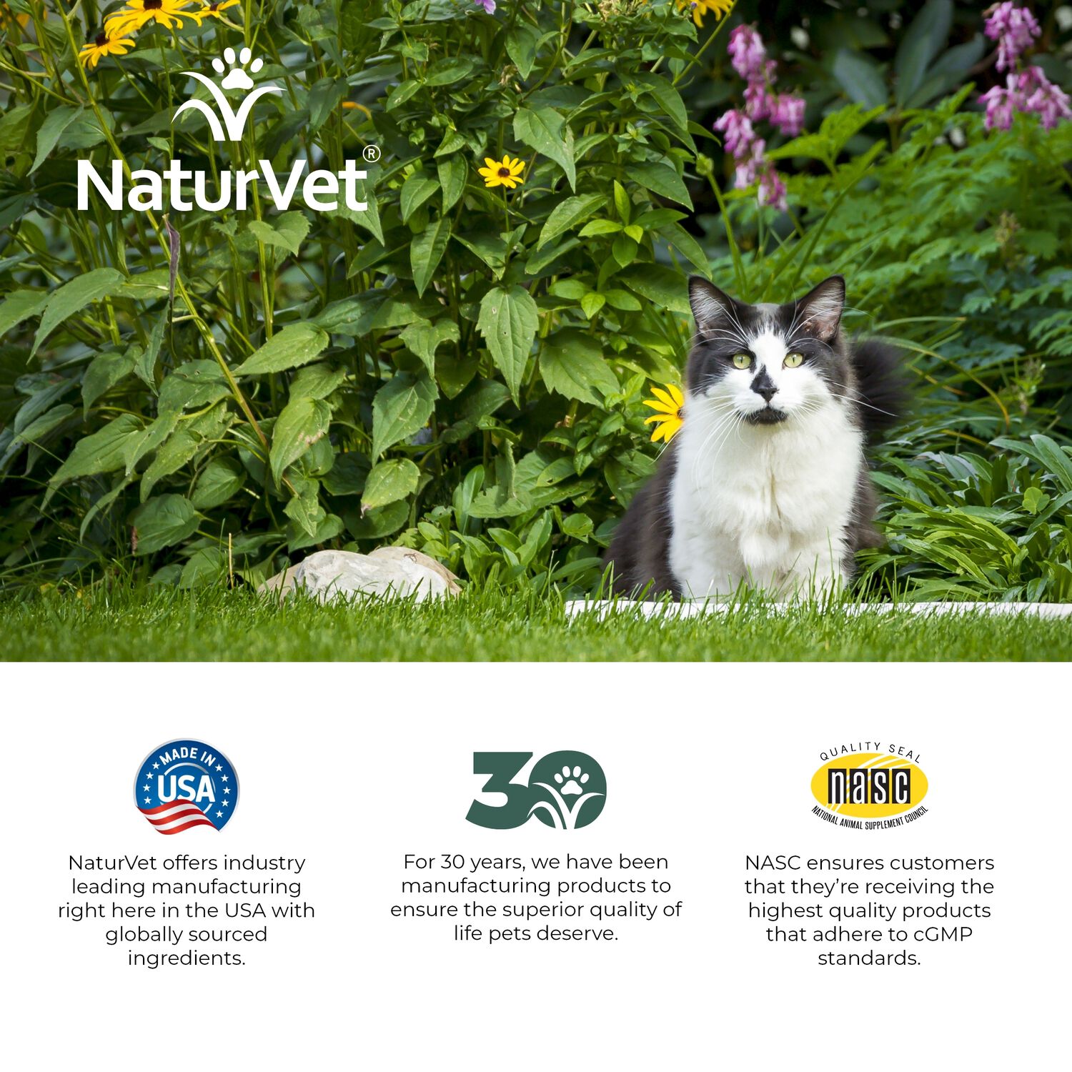 Naturvet Hemp Allergy Supplement Cat Soft Chews, 60 Count