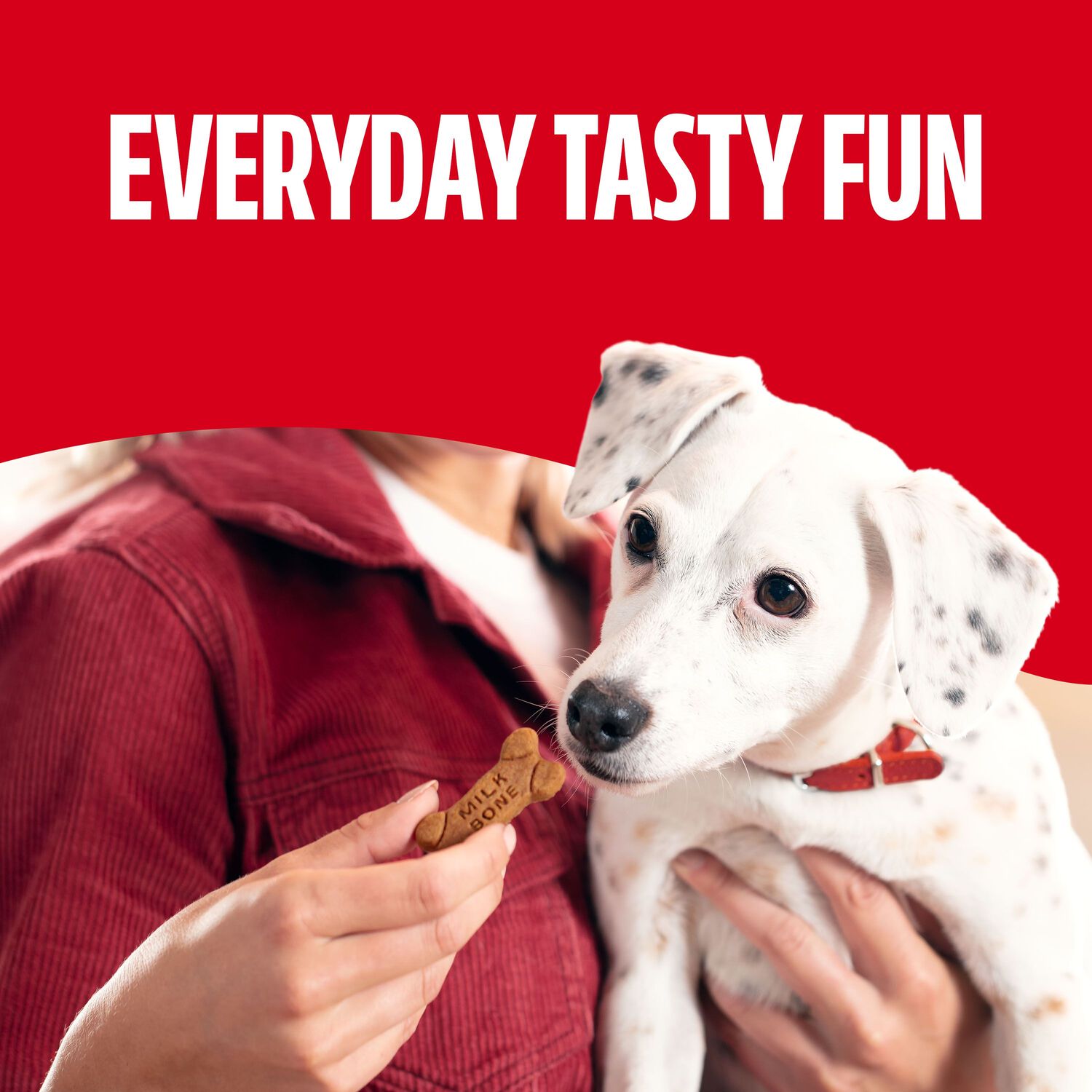 Milk-Bone Soft & Chewy Real Chicken Dog Treats, 25-Oz Canister