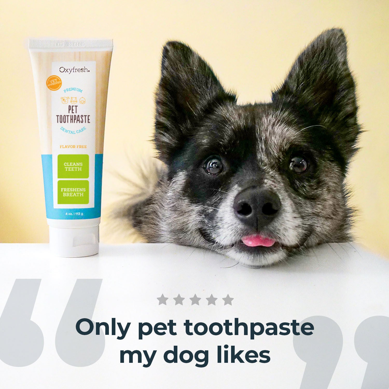 Oxyfresh Premium Vet Formulated Plaque & Tartar Cat & Dog Toothpaste, 4-Fl-Oz Bottle