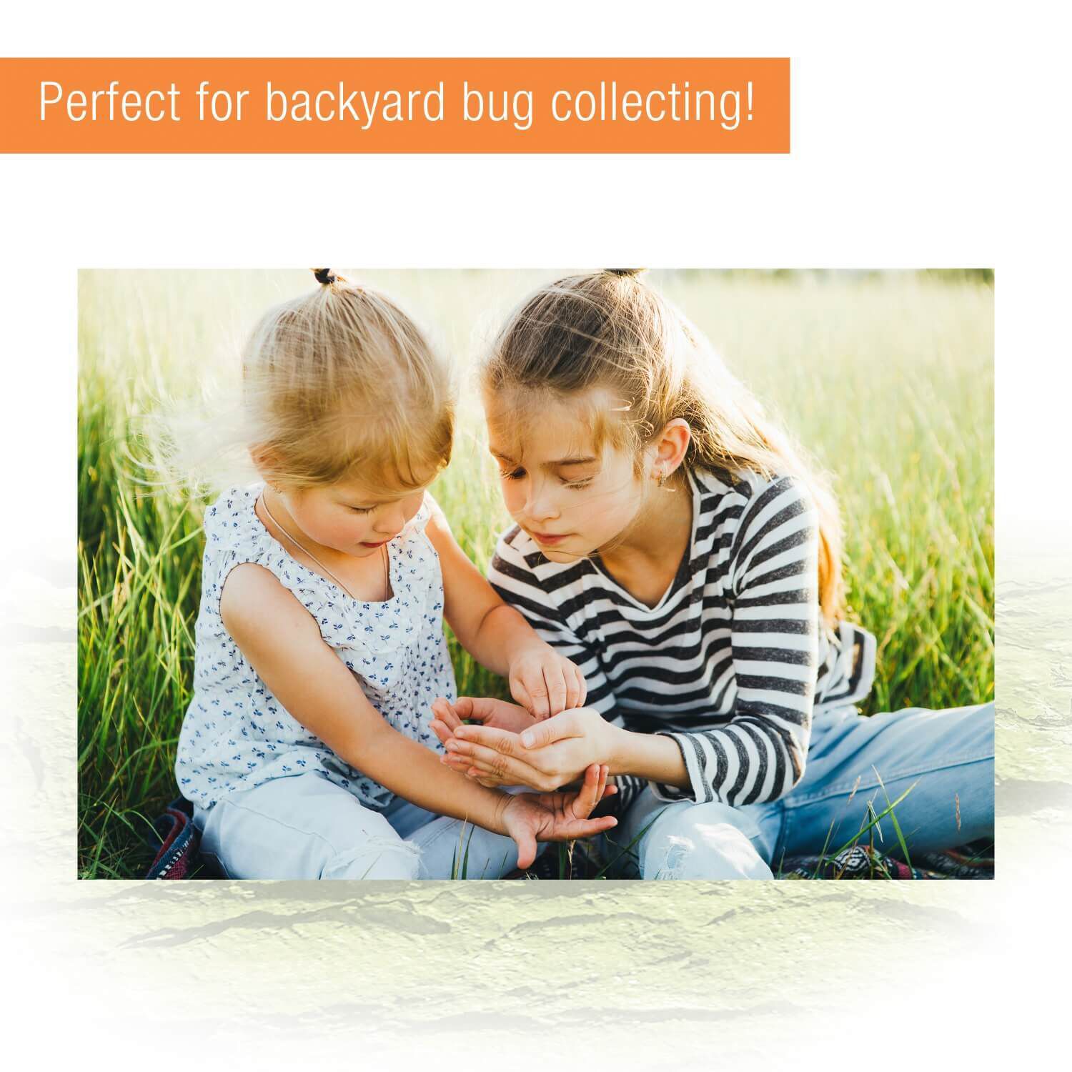 Zilla Micro Habitat Terrarium With Locking Latch, Terrestrial, Large