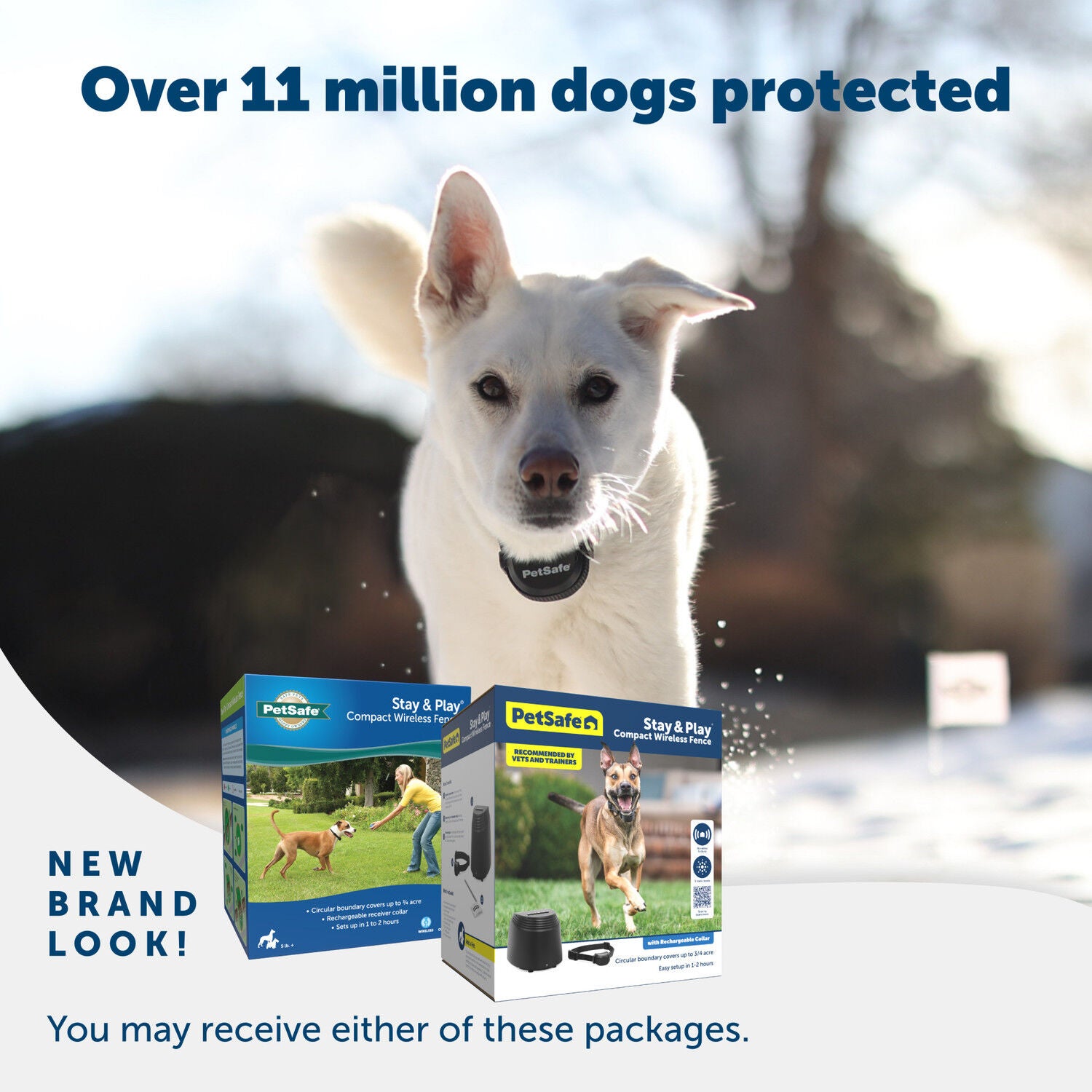 pet invisible fence wireless