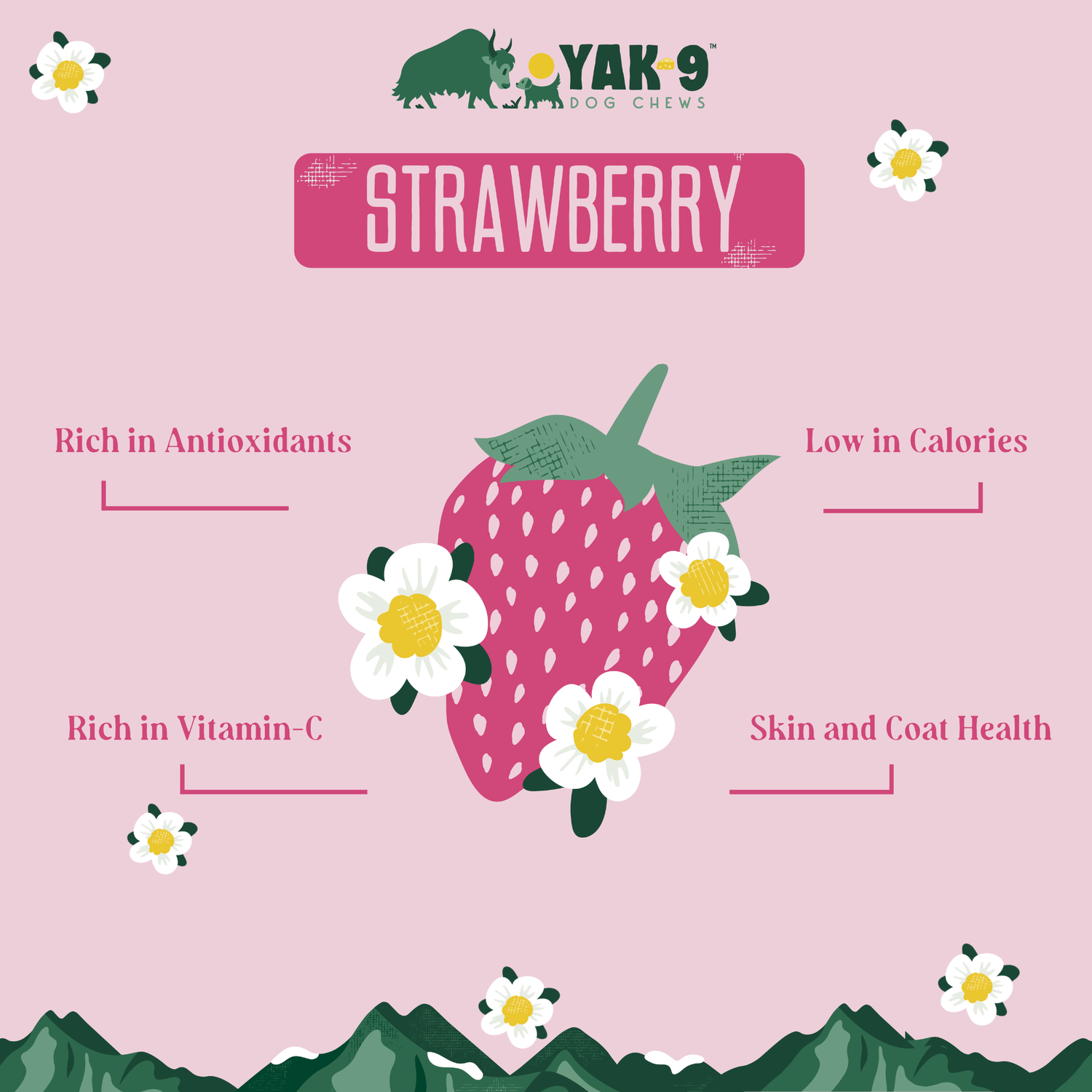 Yak9 Chews Natural Yak Cheese Chews Dog Treats, Strawberry, Large, 1-Each