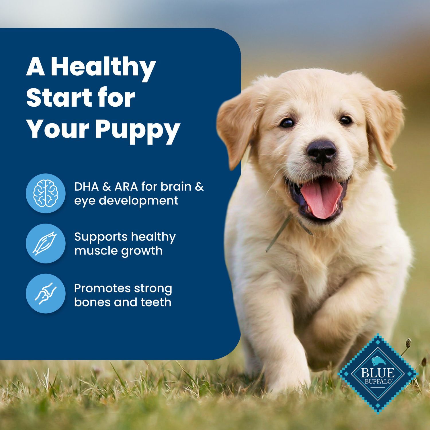 Blue Buffalo Life Protection Puppy Dog Food, 5-Lb