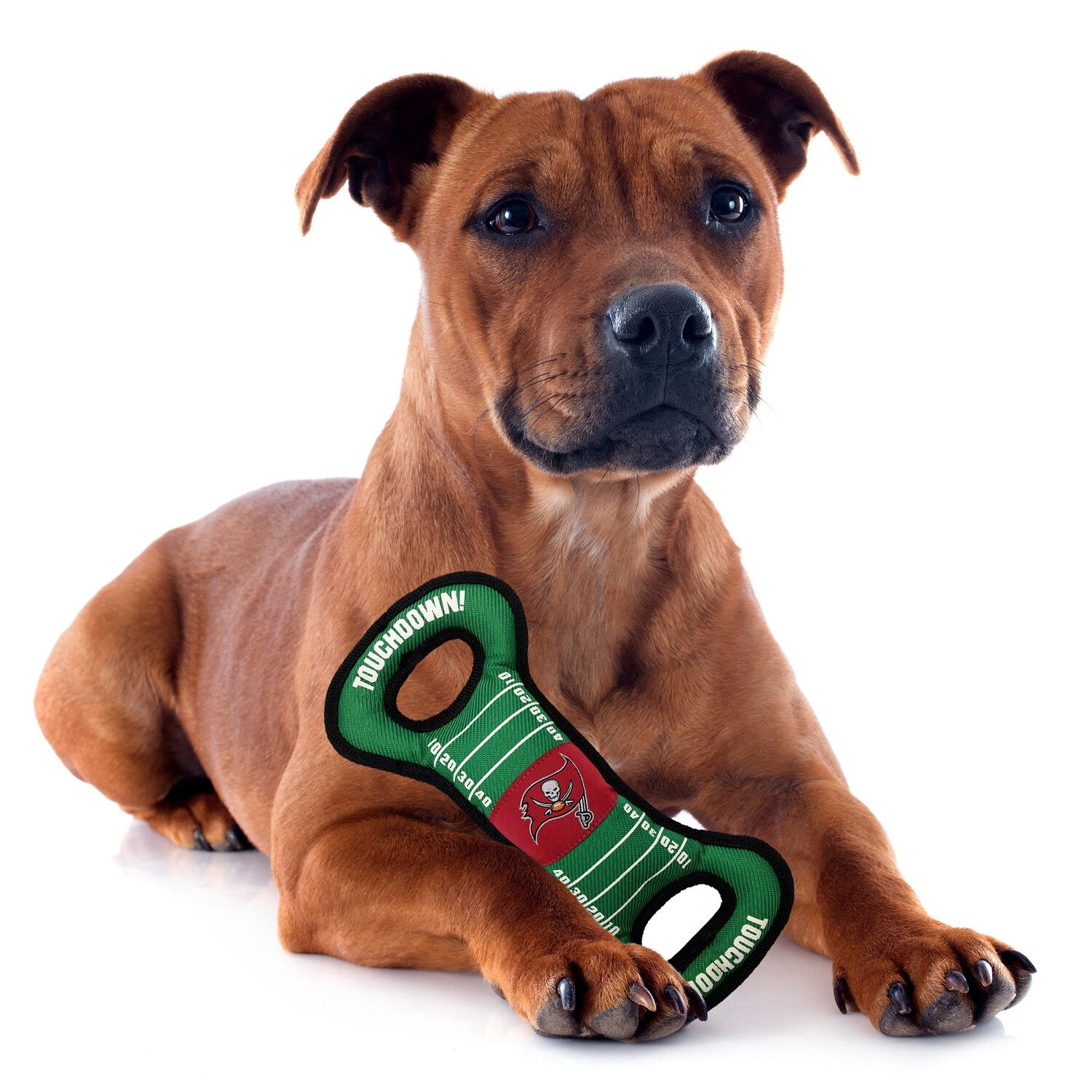 Pets First Tampa Bay Buccaneers Durable Tug Dog Toy