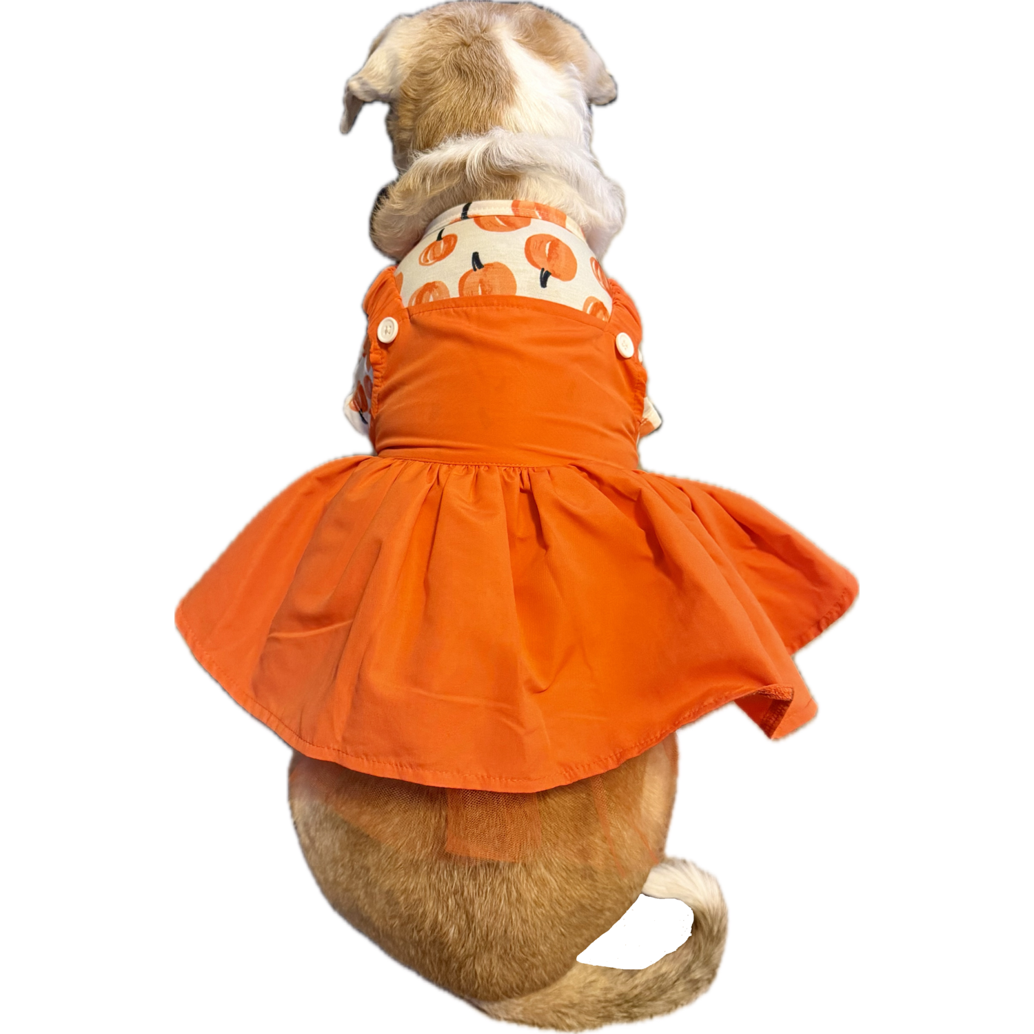 Aristopet Orange Pumpkin Overalls Dog Dress