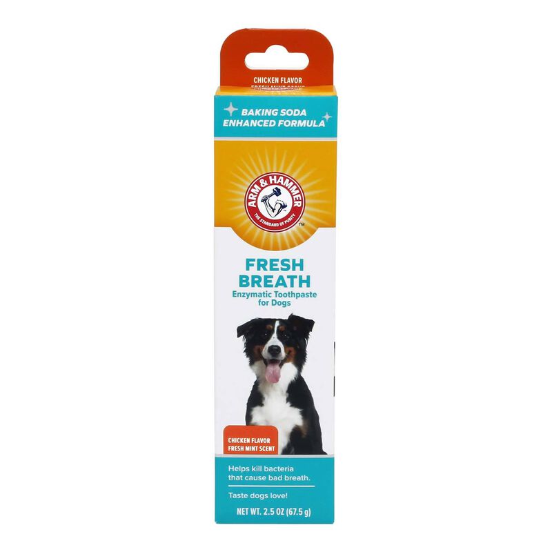 Dental Fresh Breath Enzymatic Toothpaste For Dogs - Chicken Flavor image number 1