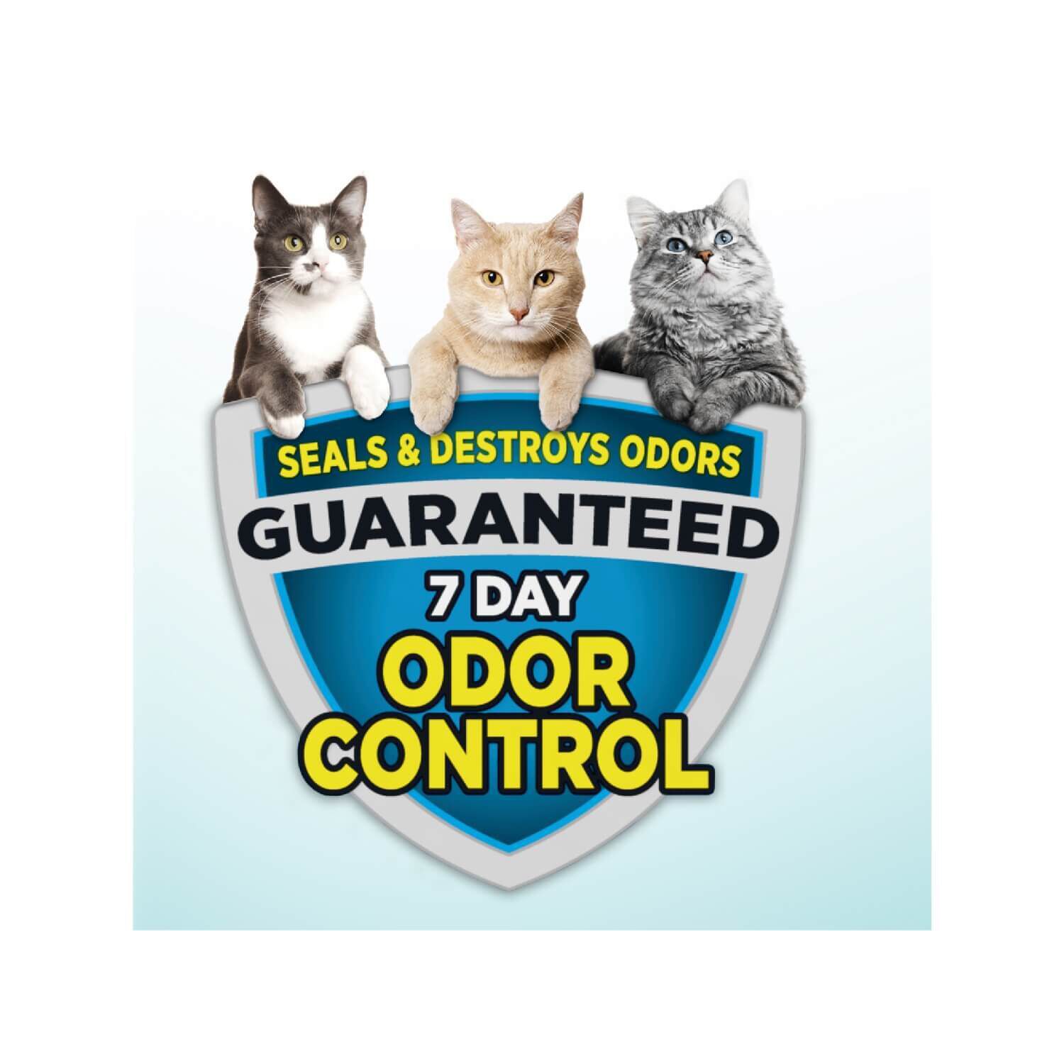 Arm & Hammer Clump & Seal Cloud Control Multi-Cat Cat Litter