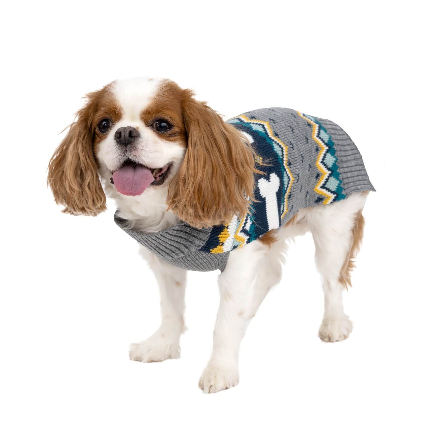Simply dog apparel on sale