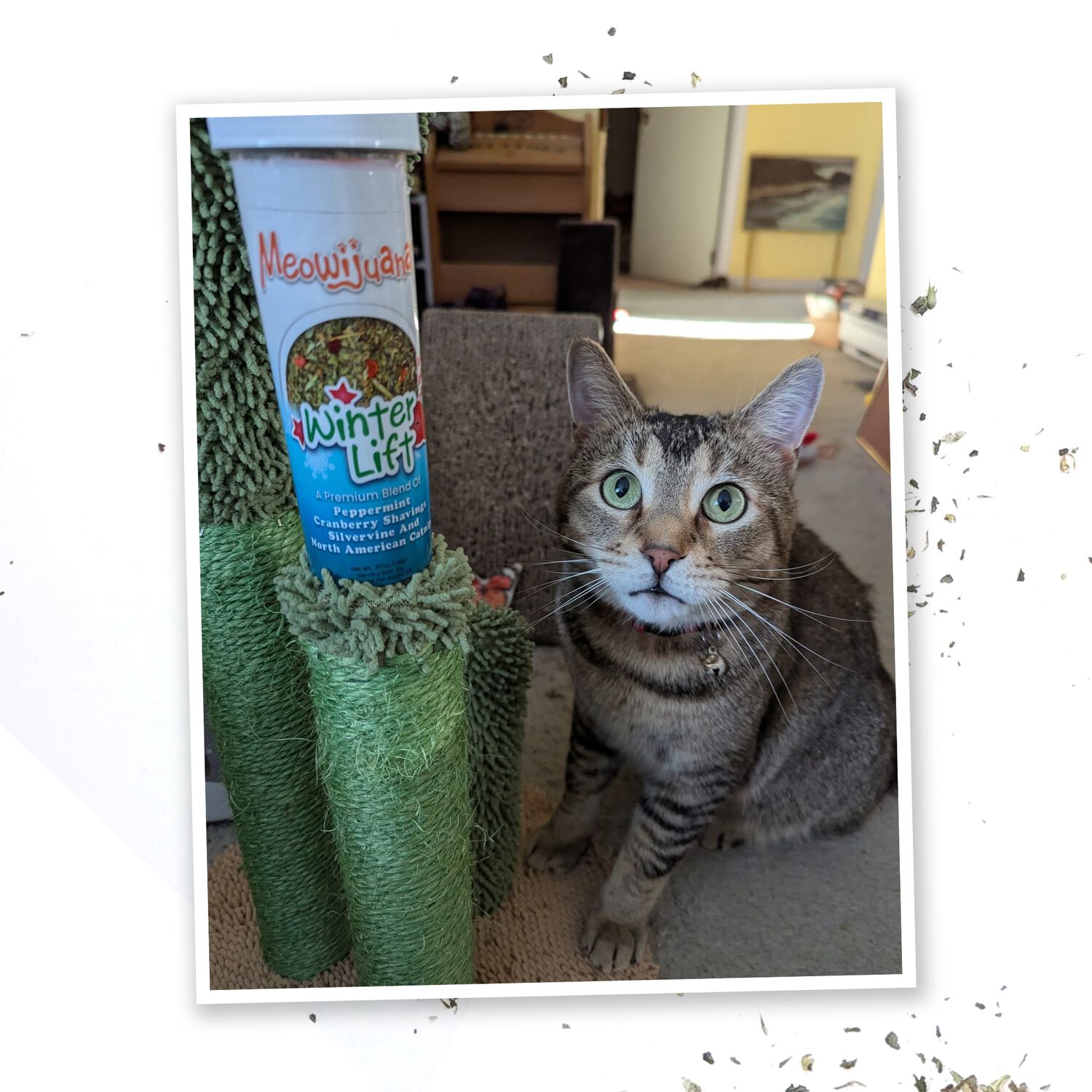 Meowijuana Winter Lift Peppermint & Silvervine Catnip Blend Cat Toy